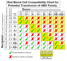 The A P Student Blood Types