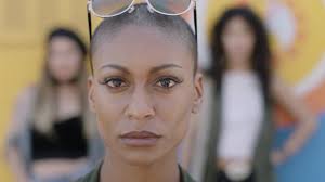 8 817 Crane Rasé Stock Videos, Footage, & 4K Video Clips