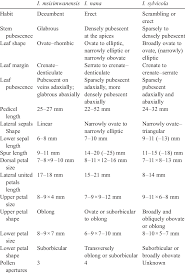 Image result for Impatiens erecticornis