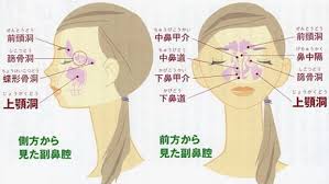 ホームケアー 副鼻腔炎