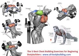 Best Chest Building Exercises Chest Workout Routine Chest