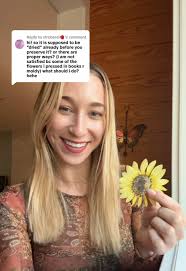 Cómo arreglar flores prensadas mohosas