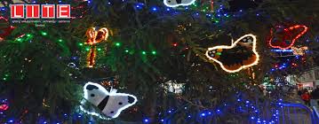 According to quartz, the senegalese. Castleford Christmas Lights Festive Lights Festive Lighting Rgb Festoon Dmx Festoon Festoon Lighting Led Festoon Lighting Festoon Lights Lite Ltd Co Uk