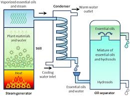 Pressurized liquid extraction has been successfully applied by the researchers at the university of macau and other institutes in extracting many uae is applicable for the extraction of thermolabile and unstable compounds. Essential Oils Extraction Bioactivities And Their Uses For Food Preservation Tongnuanchan 2014 Journal Of Food Science Wiley Online Library