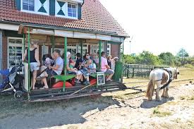 Wunderschön und einzigartig in seiner natürlichen vielfalt. Bahnhof Pferdebahn Auf Der Insel Spiekeroog Picture Of Museums Pferdebahn Spiekeroog Tripadvisor