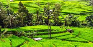 40+ contoh gambar pemandangan alam pedesaan yang mudah ditiru. Foto Pemandangan Alam Pedesaan Yang Indah Jatiluwih Bali Objek Wisata Pemandangan Sawah Terasering Download 8 Hotel Murah Di Ba Pemandangan Alam Pedesaan
