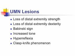 Image result for Neurologic Lesion Localization