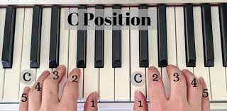 Make sure that the notes all fall together, do it with all the keys. Hand Position On The Piano Where And How To Do It Correctly Pianotels Com