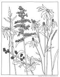 Most people who break copyright law have good intentions. Coloring Pages Maia Hausler Illustration