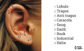 Nombre De Piercing En La Oreja Jpg 640 391 Piercings Oreja Perforaciones En La Oreja Aretes Hombre Oreja