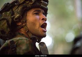 Cpl. Brandon Cooper gives commands to his squad Aug. 25, 2017, in  Hokudaien, Japan, during the final exercise portion of Northern Viper 2017.  Northern Viper is a combined-joint exercise held to enhance regional  cooperation between participating ...