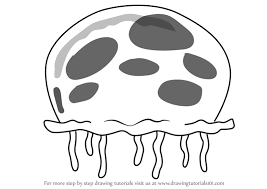 Jellyfish drawing jellyfish painting jellyfish tattoo jellyfish quotes jellyfish sting watercolor jellyfish jellyfish aquarium spongebob cartoon spongebob painting spongebob drawings how to draw pusheen bugs drawing jellyfish drawing a perfect circle tentacle best artist types of art. Learn How To Draw Queen Jellyfish From Spongebob Squarepants Spongebob Squarepants Step By Step Drawing Tutorials