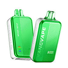 ASVAPE DISP 8000 PUFFS 5CT - MIAMI MINT