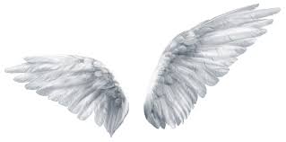 Pintado A Mano De Un Par De Alas Png Transparente Alas De Angel Png Fotos De Alas De Angel Tatuajes De Alas De Angel