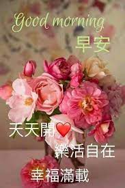 pin by lily on 早安花 good morning flowers good morning greetings morning greeting