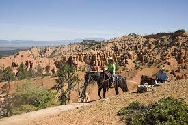 Saddling up and riding along the landscape makes you feel like settlers from hundreds of year ago. Horseback Riding Utah Horseback Riding Bryce Canyon