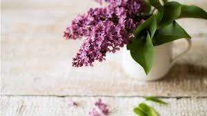 Purple Flower Zoom Meeting Background Template Postermywall While zoom virtual backgrounds isn't the video conferencing application's most essential feature, it's undoubtedly the most fun. purple flower zoom meeting background