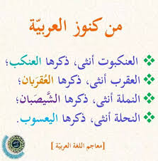 pin by sauvage orchydee on معرفة in 2021 learning arabic learn arabic language arabic language