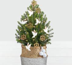 Ftd's christmas collection includes vibrant christmas flowers like red roses, white roses, plants and poinsettias, holiday plants and wreaths, and calla lilies. Hall S Gift And Floral Design Dove And Peace Spruce Tree Vicksburg Ms 39180 Ftd Florist Flower And Gift Delivery