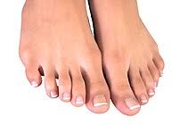 What does jari kaki mean in malay? Toe Wiktionary