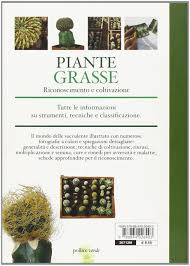Vendita online pianta grassa espostoa nana, pianta a crescita lenta, può arrivare a 30 cm di altezza e a 5 cm di diametro in 10 anni. Piante Grasse Amazon De Fremdsprachige Bucher