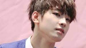 Celebrities hip hop korean idol boy groups pretty boys seventeen wonwoo kpop actors pledis entertainment. Wonwoo Seventeen Facts And Profile Wonwoo S Ideal Type Updated