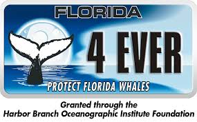 Maybe you would like to learn more about one of these? Specialty License Plate Florida Atlantic University Harbor Branch Oceanographic Institute