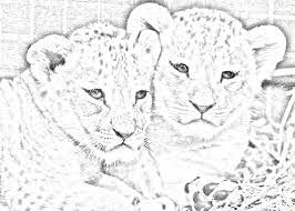 This picture, will give your child an opportunity to . Cute Lion Cubs By Emerald Wolf On Deviantart