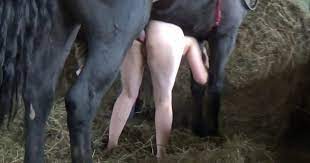 Video sesso con cavallo