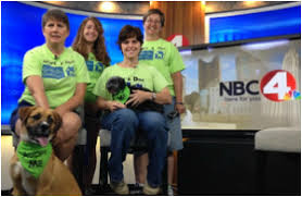 From puppies to seniors, we help dogs of all life stages put their best paw forward with positive dog training classes. Mingle With Our Mutts