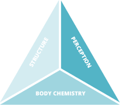Due to their rigid forms, triangles can withstand tr triangles are used in construction because they provide sturdy foundations to variou. Triangle Of Health Holistic Health Care St George Utah