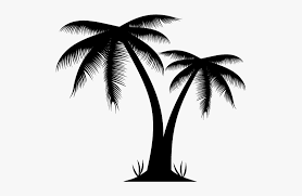 Pngtree provides you with 896 free palm tree png, palm tree leaves, palm tree silhouette, tropical tree png images and vectors. Arecaceae Euclidean Vector Illustration Silhouette Palm Trees Png Transparent Png Transparent Png Image Pngitem