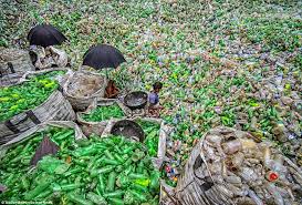 Dan bagi kalian yang saat ini penasaran dengan link ini di bawah ini admin sudah menyiapkan link terkait maka dari itu, simak pembahasan admin di bawah ini sampai. Workers Sort Thousands Of Bottles For Recycling In Bangladesh Daily Mail Online