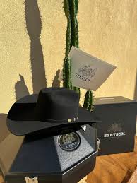 Image result for stetson