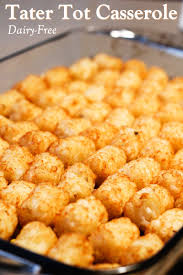 Dairy Free Tater Tot Casserole Recipe Vegan Option