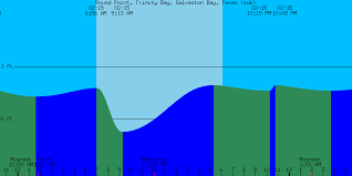 13 Rare Galveston Tide Report