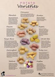 Potato Varieties 595 841 Potato Varieties Cooking Basics Food Charts