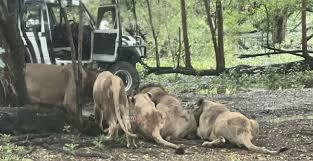 Nayara assunção fotos nua