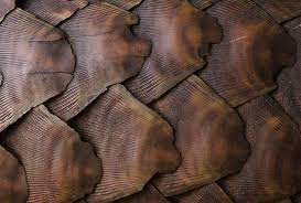 She takes you through crocheting a. Pangolin Scales Shipped From Ghana Seized By Malaysian Officials Africa Times