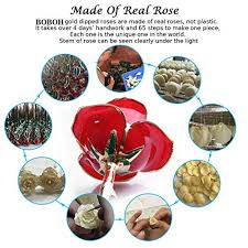 Choose a 24 karat gold dipped rose instead! Thumbs Up Rose Gold Dipped 5 5 X 27 5 X 5 5 Cm Buy Online In El Salvador At Elsalvador Desertcart Com Productid 53116101