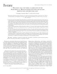 Image result for Orthoclada africana