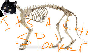 Maybe you would like to learn more about one of these? Https Imgur Com Gallery Hwygy01 Daily Https Imgur Com Mltdxog Jpg 2020 01 23t18 00 02 137z Https Imgur Com Gallery Yrfgdks Daily Https Imgur Com Dzneuqz Jpg Https Imgur Com Nnnljqu Jpg Https Imgur Com Uf2kbww Jpg Https Imgur Com