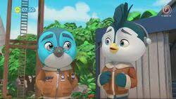 Top wing focuses on the importance of teamwork and the ability to . Speedy Top Wing Wiki Fandom