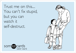 6 you can't fix stupid famous quotes: Trust Me On This You Can T Fix Stupid But You Can Watch It Self Destruct Stupid Quotes Cant Fix Stupid Cute Love Quotes
