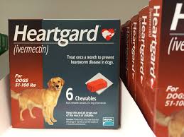 Buy from pet bucket for 100% genuine, up to 70% off deals on heartgard, advantix, revolution and other top brands. Ivermectin American College Veterinary Pharmacists