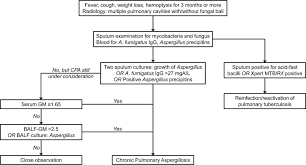 Aspergillus species was found in 27 (11.5%) of the 200 samples by direct sputum microscopy and 30 (15%) of the 200 samples by culture. Utility Of Serum And Bronchoalveolar Lavage Fluid Galactomannan In Diagnosis Of Chronic Pulmonary Aspergillosis Abstract Europe Pmc