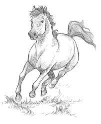 Pin On Animal Drawings