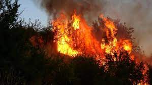 We did not find results for: Pm Rjzeerdnylm