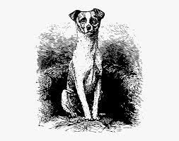 We did not find results for: Dog Sitting On Chair Svg Clip Arts Dog Sit Vectors Hd Png Download Transparent Png Image Pngitem