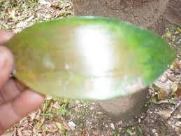 Khasiat raja kayu & tutorial menggunakan raja kayu. Raja Kayu Terlaris Posts Facebook